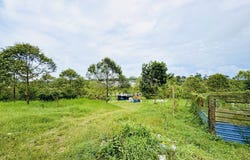 Senai, Johor 81400