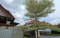 Johor Bahru, Johor 81750