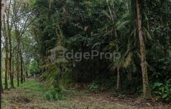 Bentong, Pahang