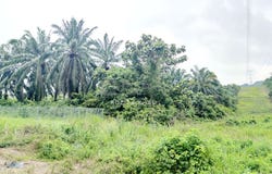 Jalan Vista, Sepang, Selangor