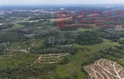 Temerloh, Pahang 28000