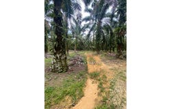 Senai, Johor 81400