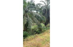 Banting, Selangor 42700