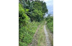Selangor, Sepang, Selangor