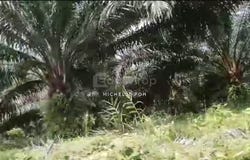Mersing, Mersing, Johor 86800