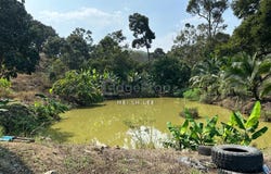 o, Bentong, Pahang 28600