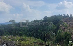 Maran Mengkarak, Pahang 26500
