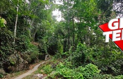 Jalan Moniot, Bukit Bendera, Penang 11500