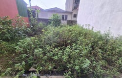 Shah Alam, Selangor 40000