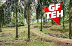 Larut Matang, Perak 34100