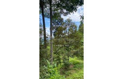 Bentong, Pahang 28700