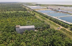 Tanjong Karang, Selangor