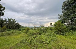 Kuala Kangsar, Perak 31100