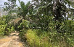 Batu Yon, Lipis, Pahang 27200