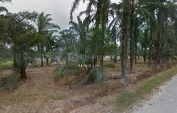 Banting, Selangor 42700