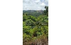 Bentong, Pahang 28700