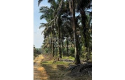 Kulai, Johor 81000