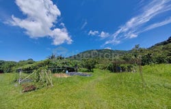 Balik Pulau, Penang 11000