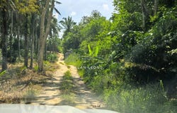 Ulu Tiram, Johor 81800