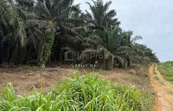 Kulai, Johor 81000