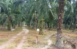 Telok Panglima Garang, Selangor 42500