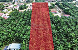 Kuala Selangor, Selangor 45600