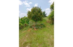 Raub, Pahang 26700