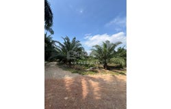 Banting, Selangor 42700