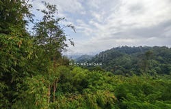 Bentong, Pahang 28750