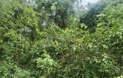 Kinta, Perak 31550