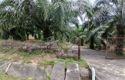 Bandar Puncak Alam, Selangor 42300