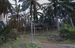 Senai, Johor 81400