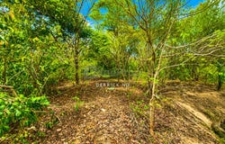 Pendang, Kedah 6720