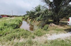 Kuala Langat, Selangor 42500