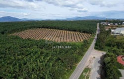 Sungai Petani, Kedah 8010