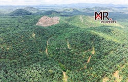 Kuala Ketil, Kedah