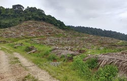 Segamat, Johor 85000