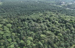 Taiping, Perak 34000