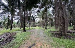 Kluang, Johor 86200