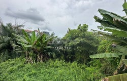 Johor Bahru, Johor 80250