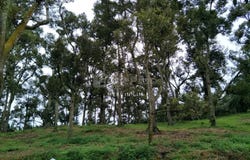 Batu Pahat, Johor Bahru, Batu Pahat, Johor