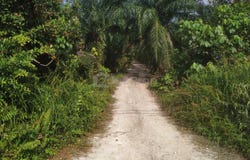 Telok Panglima Garang, Selangor 42500