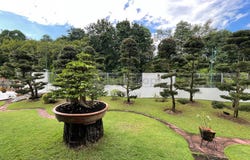 Bukit Jelutong, Selangor 0