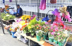 Pahang, Cameron Highlands, Pahang 39100
