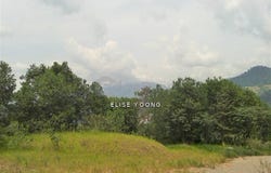 Bukit Tinggi, Bentong, Pahang 28750