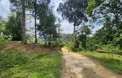 Bentong, Pahang 28750