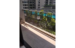 Shah Alam, Selangor 40460