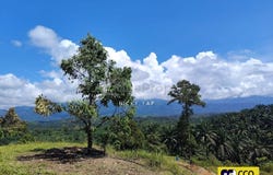 Kuala Kangsar, Perak 31100