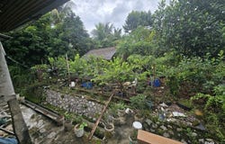 Bangi, Selangor