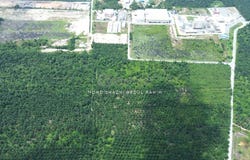 Kuala Langat, Selangor 41200